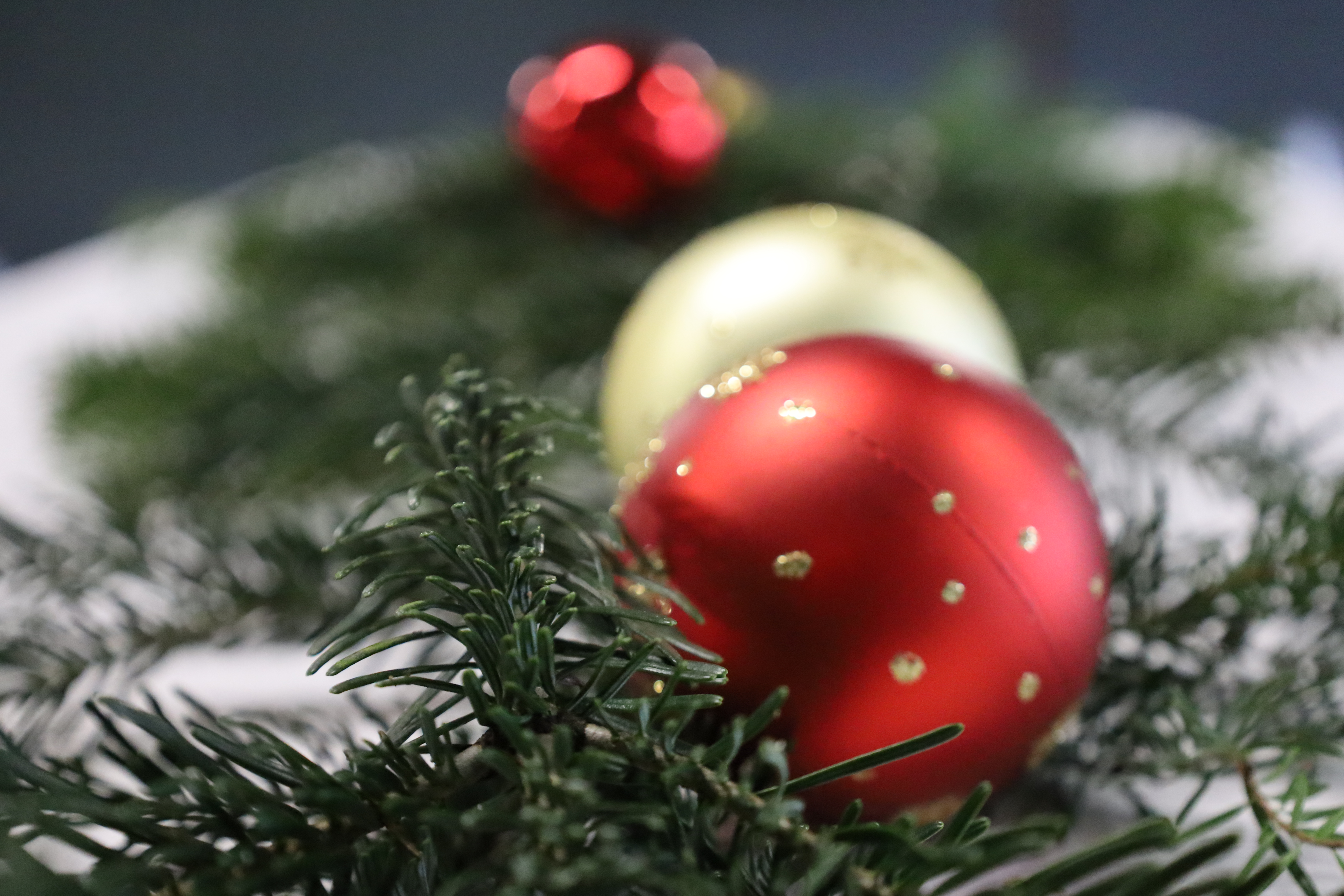 MKG Weihnachtshöck 2022 (5)